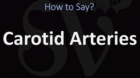 common carotid artery pronunciation|carotid pronunciation audio.